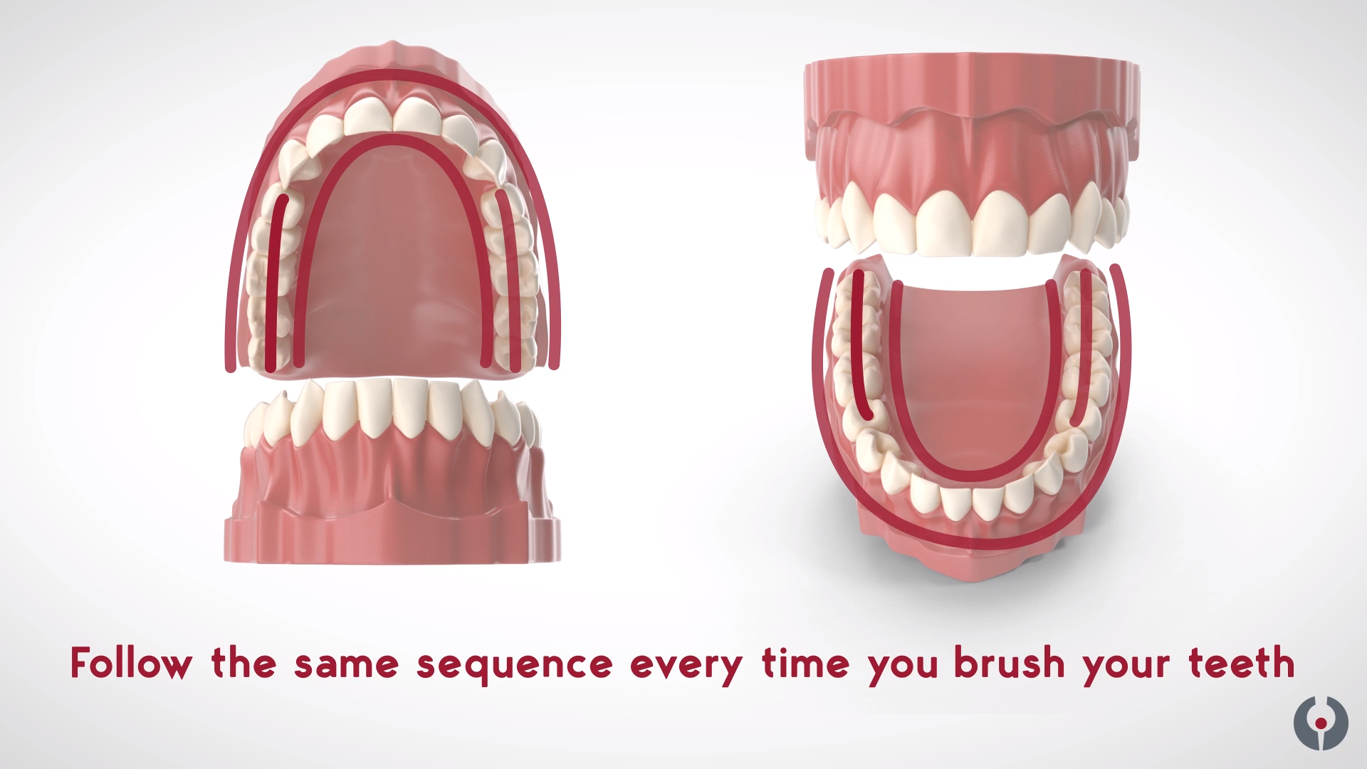 La prise de la brosse à dent - brossage suculaire - clinique Laflamme Leblance - Dorval
